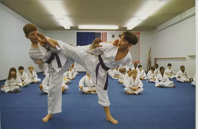Read more about the article A Guide to Choosing Adult Karate Classes Nearby
